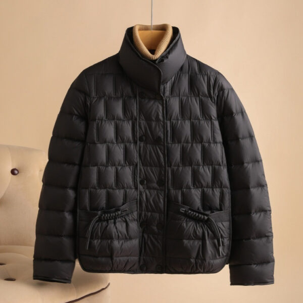 Fashion Simple Thin Lightweight Short Type Down Jacket - Image 3