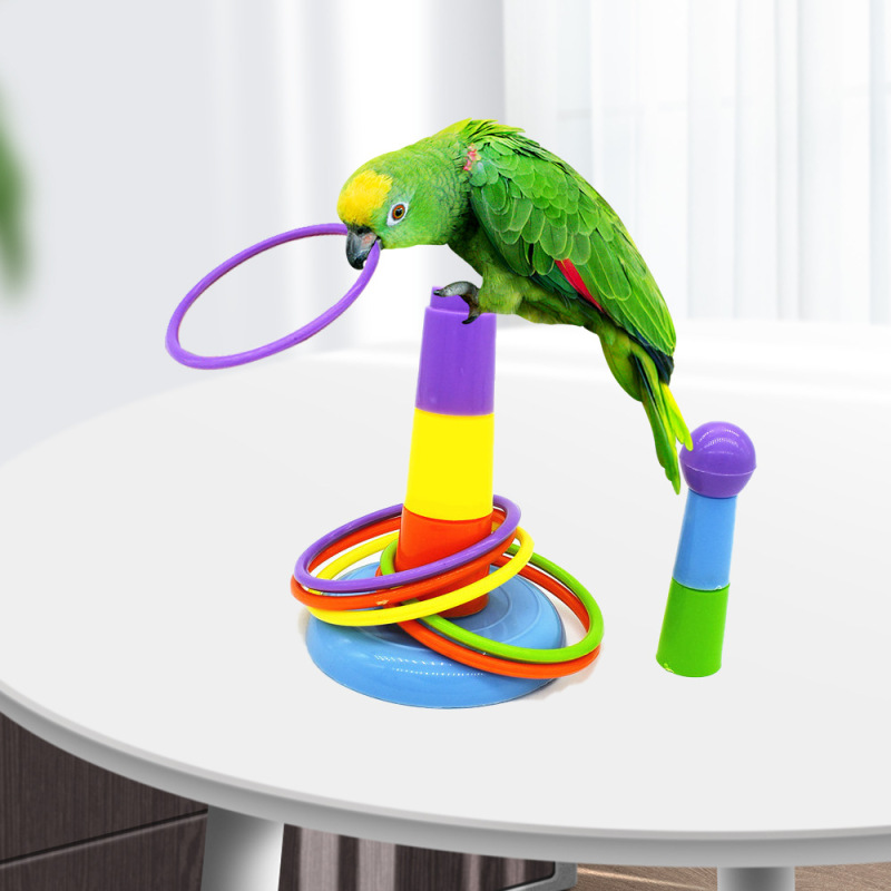 Bird Toys