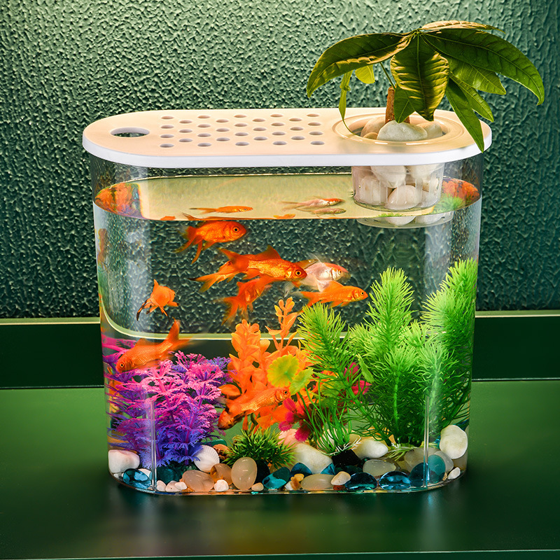 Fish Tank Decorations