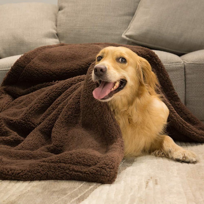 Pet Blankets & Quilts