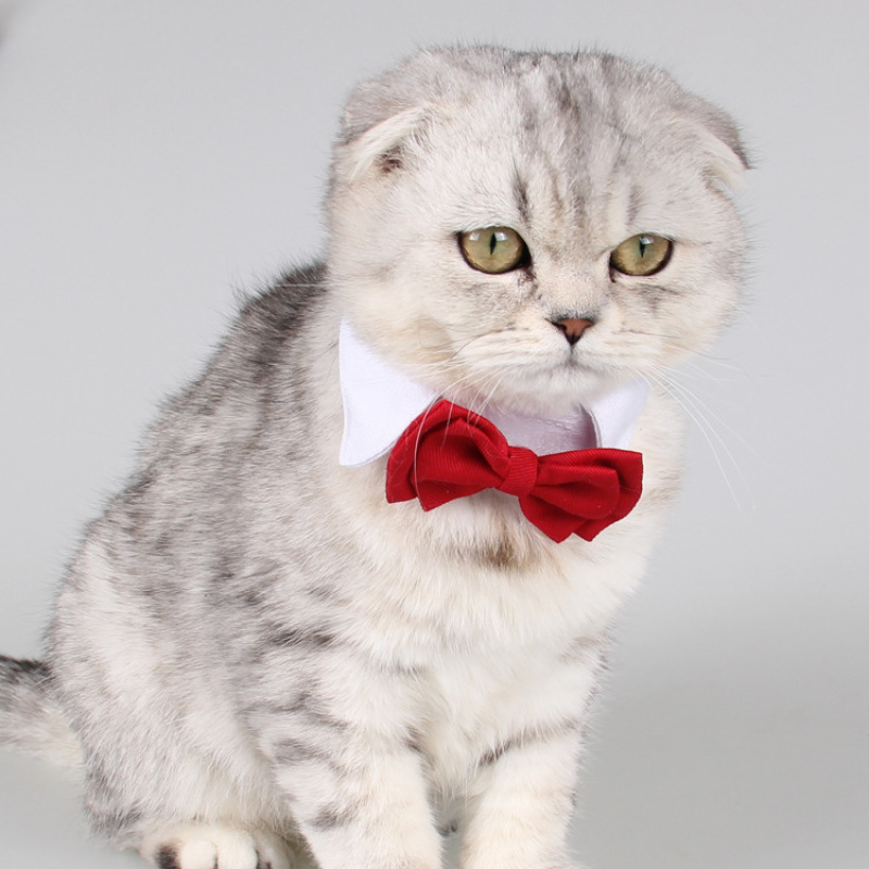 Pet Bows & Ties