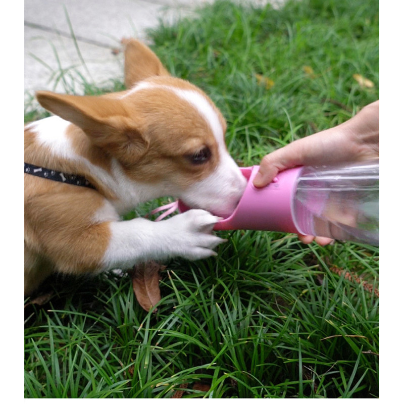 Pet Drinking Tools