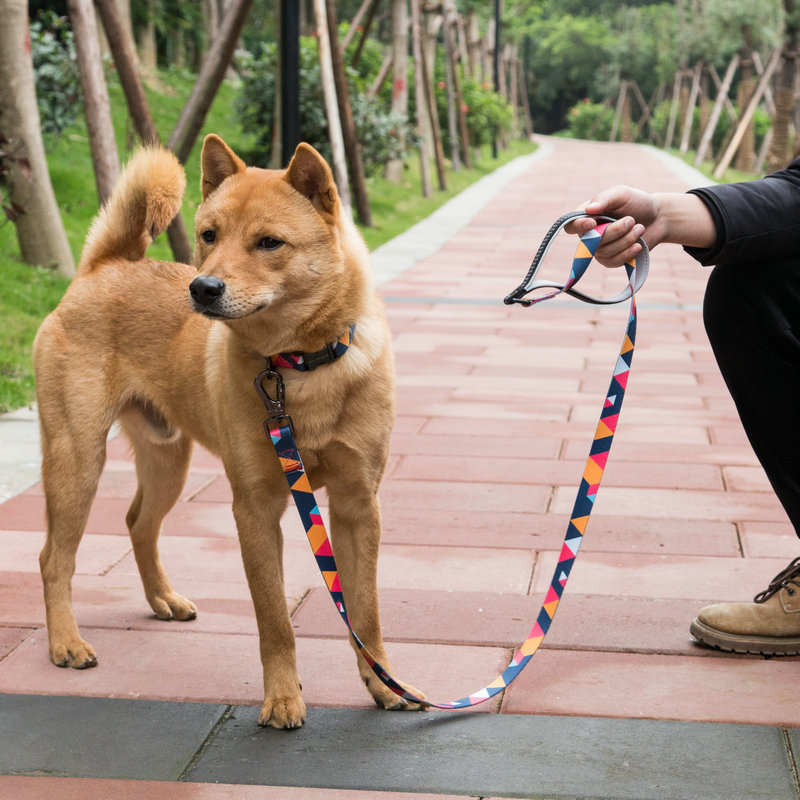 Pet Leashes