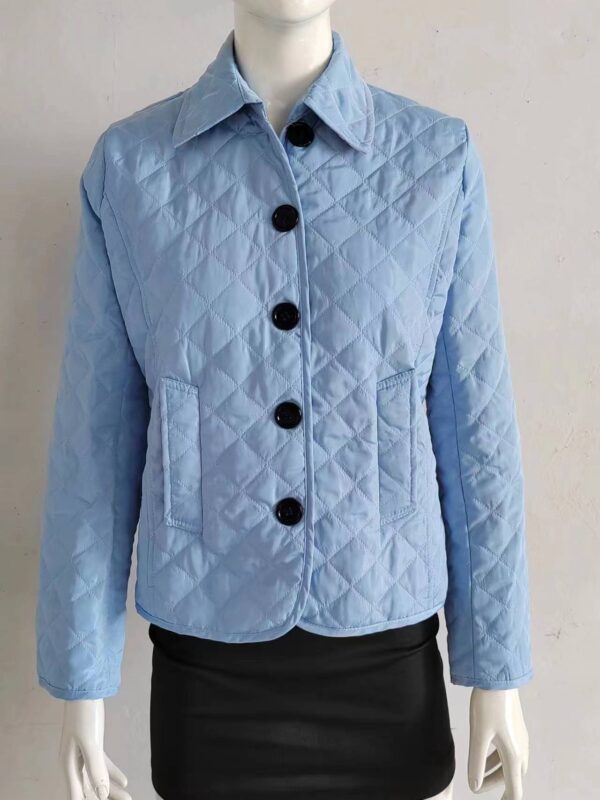 Fashionable Elegant Lapel Cotton-padded Jacket - Image 7